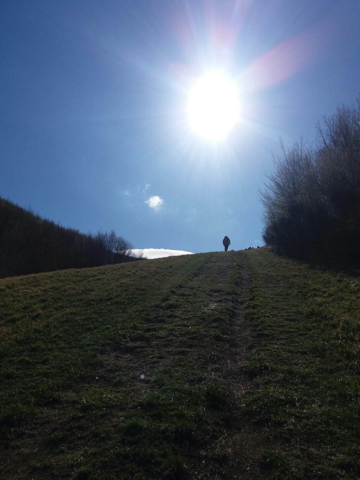 verso la vetta: il cammino ci parla