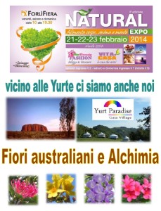 fiera forli 2014