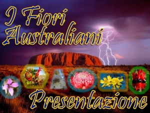 I Fiori Australiani